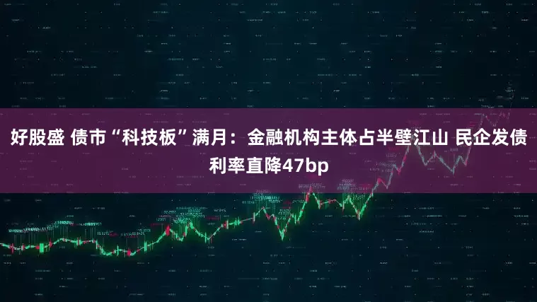好股盛 债市“科技板”满月：金融机构主体占半壁江山 民企发债利率直降47bp