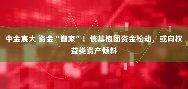 中金宸大 资金“搬家”！债基抱团资金松动，或向权益类资产倾斜