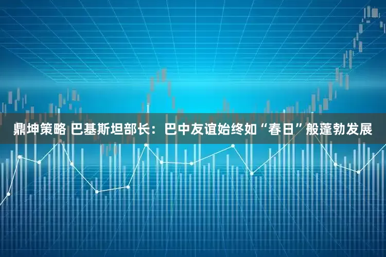 鼎坤策略 巴基斯坦部长：巴中友谊始终如“春日”般蓬勃发展
