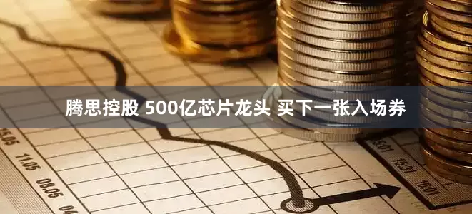 腾思控股 500亿芯片龙头 买下一张入场券