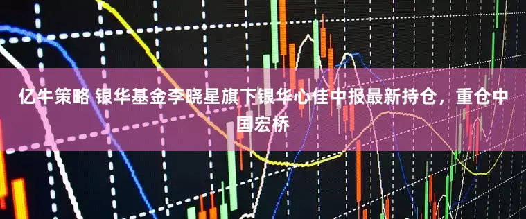 亿牛策略 银华基金李晓星旗下银华心佳中报最新持仓，重仓中国宏桥